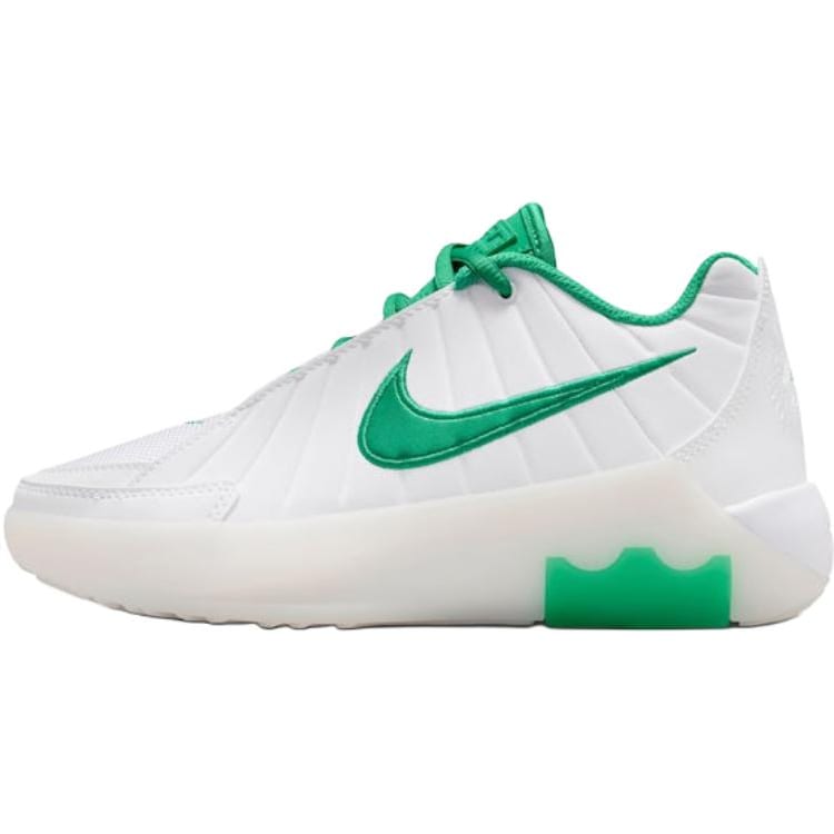 Nike LeBron Witness 9 Zemi Basketbola