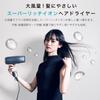 Agetsuya Super Rich Ion Hair Dryer White Large Air Volume Negative Ion AG-0003