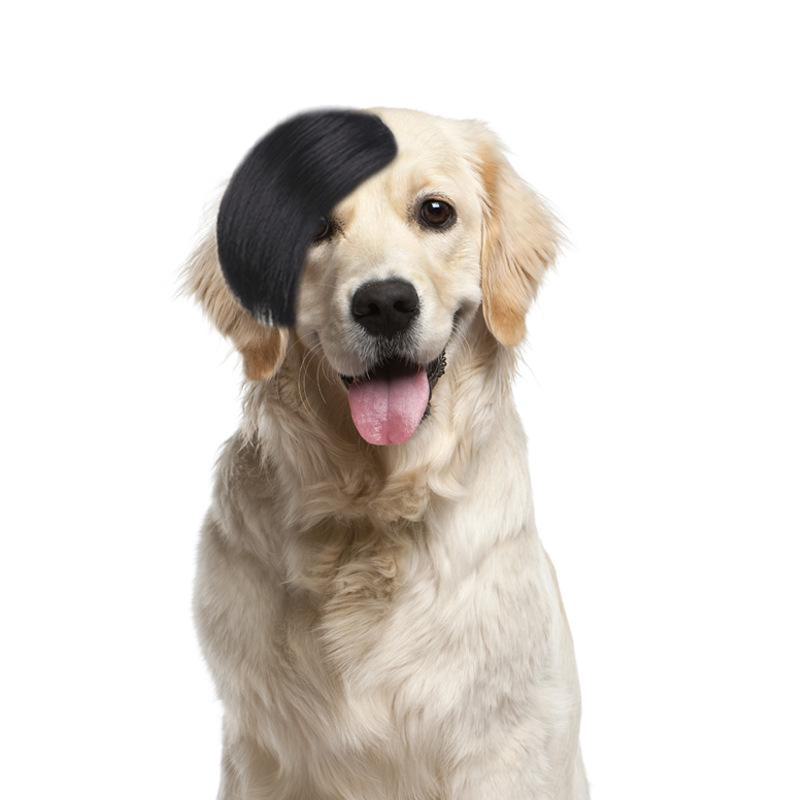 Universal Pet Costume Wigs - Funny Party Decor for Cats and Dogs