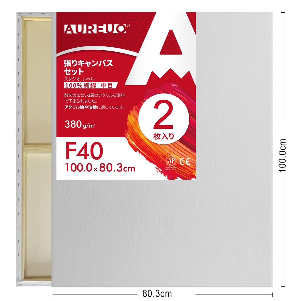 AUREUO Stretched Canvas Set F40 Medium Grain Cotton 2 Pieces Beginner Painting Tools Art Painting Creation Modern Oil Painting Art Decoration Can Be