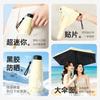 50% Off Mini Memory Patch Free of Folding and Easy To Fold In Seconds Umbrella Women's Solid Color Sun Umbrella Sunscreen Umbrella Manufacturer