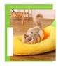 Removable & Washable Winter Dog and Cat Sofa Bed - Banana Boat Design
