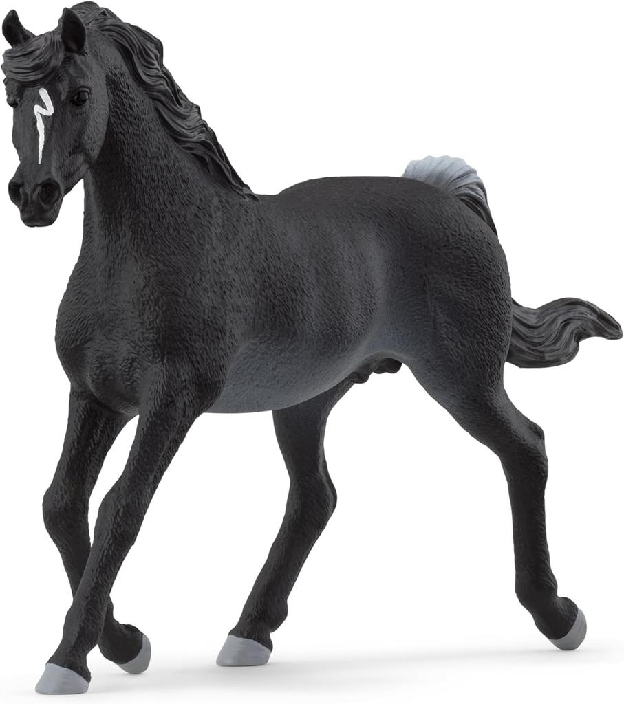 Schleich Horse Club Arabian 13981 (Male)