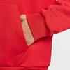 Nike Therma FIT KOBE Collection, Fleece Lined Hooded Pullover Long Sleeved Sweatshirt Men's HJ8110-657