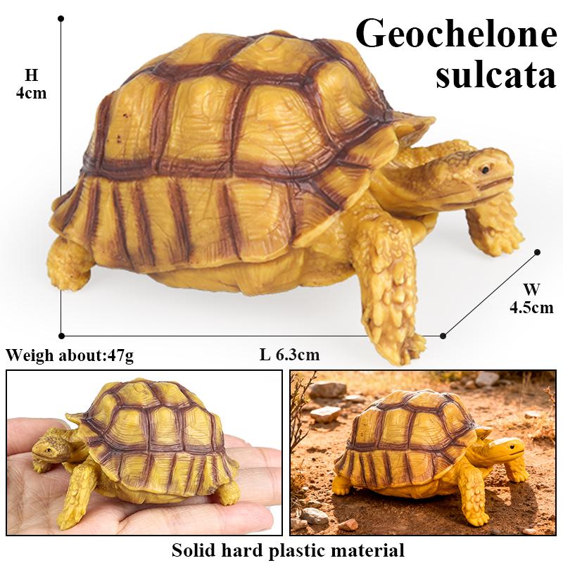 Oenux Reptile Animals Star Turtle Tortoise Geochelone Model Figurines Action Figures PVC Ornament Education Kid Toy Gift