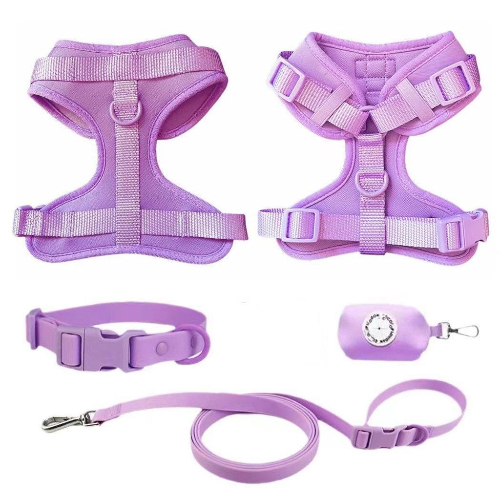 Macaron Color PVC Dog Collar & Leash Set - Soft & Comfortable