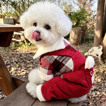 Puppy dog clothes thickened autumn and winter pet small dog teddy bear pomeranian chihuahua winter velvet cotton coat