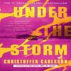 Under the Storm by Rachel WillsonBroyles Paperback Book 9780593449387