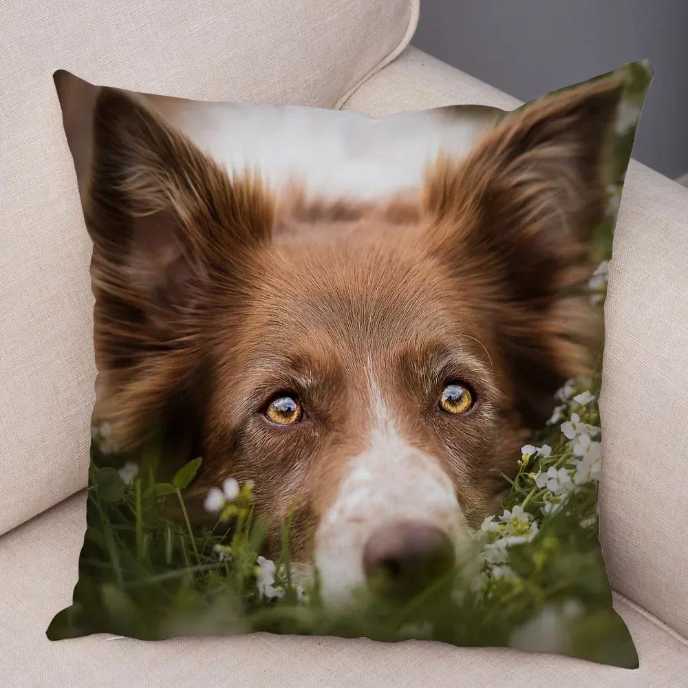 Cute Scottish Border Collie Pillowcase Dog Print Decor Pet Animal Cushion Cover Sofa