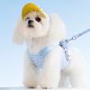 Soft Dog Harness Set Adjustable Pet Traction Set Leisure Dog Walking Rope Cat Costume