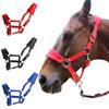 1Pc Soft Padded Pony Halter Bridle Headstall Head Collar Horse Riding Accessories Ergonomic Comfortable Unfettered Halters