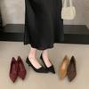 French Pointed Kitten and Black High Heels Women's 2025 New Spring and Autumn Fine Heel Suede Light Mouth Commuter Shoes
