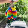 Catenina Portachiavi e Ciondolo Giocattolo Antistress Bruco Arcobaleno Adorabile