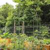 Garden Trellis Shelf Flower Tower Support Rack Plug-in Frame Rose Vine Tomato Climbing Trainer Plant Vegetable Growing Stander