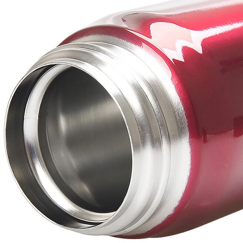 Thermos JNL-500 500ml Vacuum Insulated Bottle