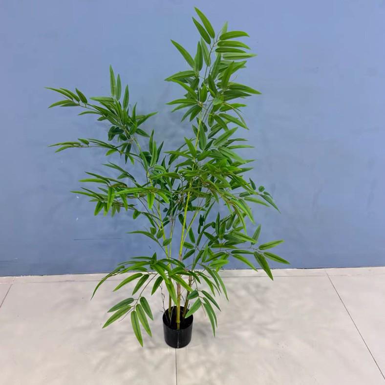 Zen Bamboo Bonsai Decor: Green Bamboo Plant for Home, Office, or Shop. Perfect for Living Room or Entryway.