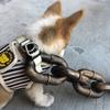 1.5M 2M Funny Plastic Simulation Chain Dog Leads Pet Puppy Leash Small Dogs Pet Cat Traction Rope Halloween Props For Doggies