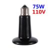Domácí plaz Daleko infračervená keramická topná lampa 110V/220V Emitor tepla Žárovka 25W 50W 75W 100W 150W 200W Vytápění pro líhnutí zvířat