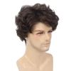 Short Brown Black Wig With Bangs Men Curly Wig Fluffy Wave Synthetic Hair for Male Cosplay Daily Heat Resistant Fibre Wig
