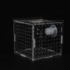 FishTank Hatchery Incubator Aquarium Small Breeding Box Clear Breeder Isolation Hatching Box