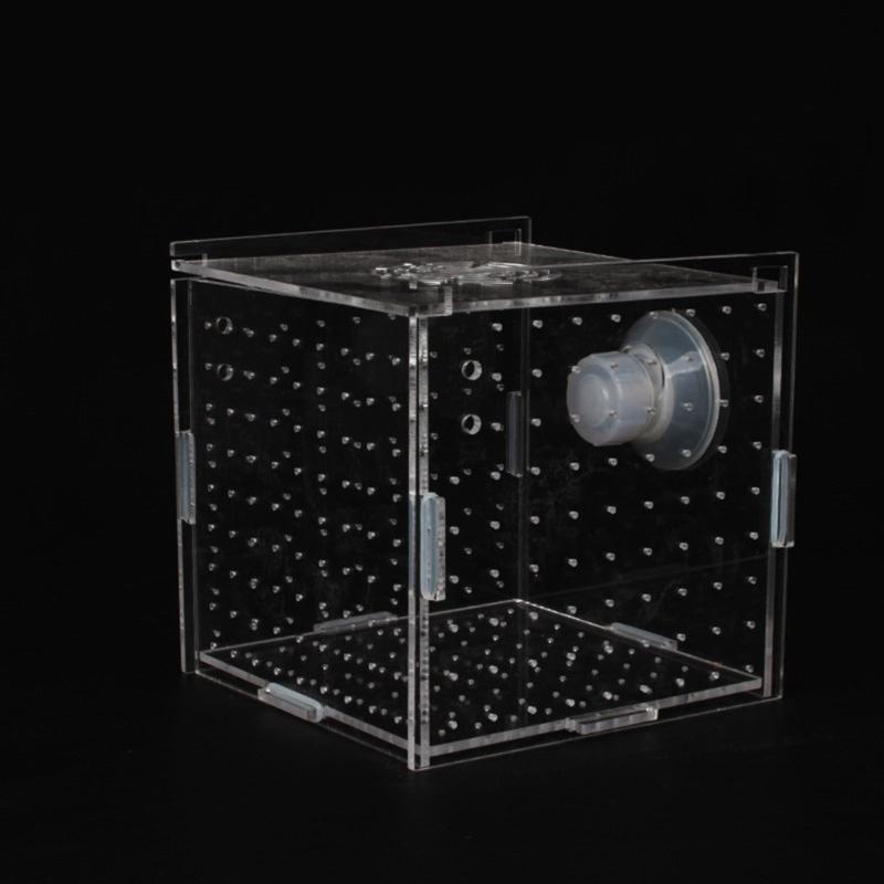 FishTank Hatchery Incubator Aquarium Small Breeding Box Clear Breeder Isolation Hatching Box
