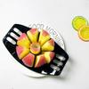 Stainless Steel Apple Slicer & Corer, Super Sharp Apple Cutter Peeler, Multifunctional Kitchen Tool For Fruit Cutting