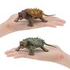 Amphibious Simulated Reptile Freshwater Turtle Crocodile Turtle Model Ornament