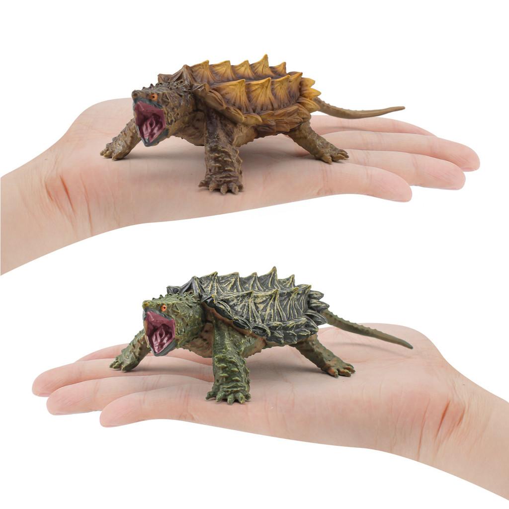 Amphibious Simulated Reptile Freshwater Turtle Crocodile Turtle Model Ornament