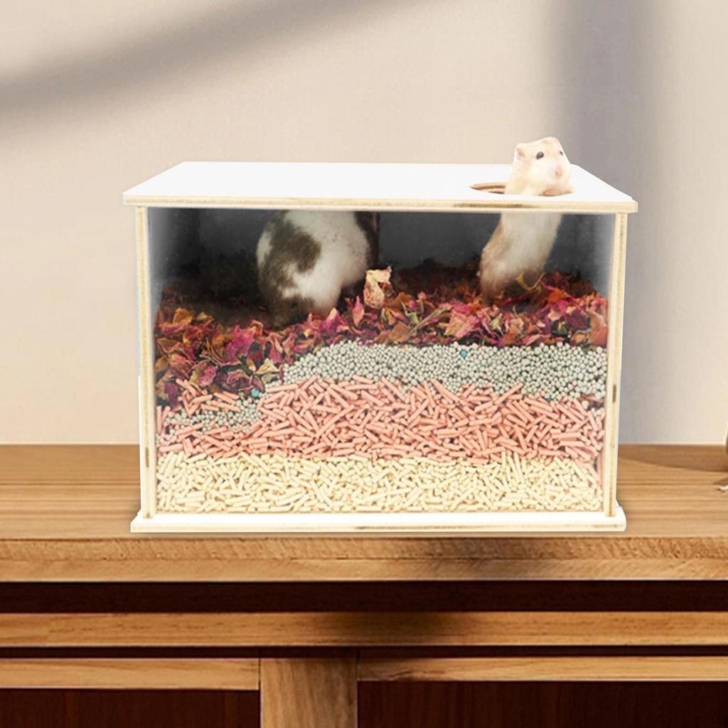 Cozy Retreat for Small Pets - Acrylic Enclosure Hamsters And More