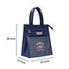 Portable Insulated Lunch Bag