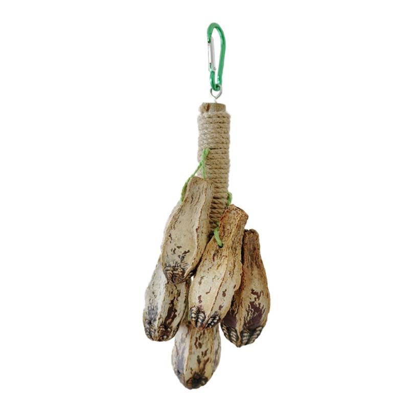 

Interactive Bird Molar Toy Helps Maintain Beaks Healthy Provides Fun Safe Materials Boredom Relief Toy for All Bird 1