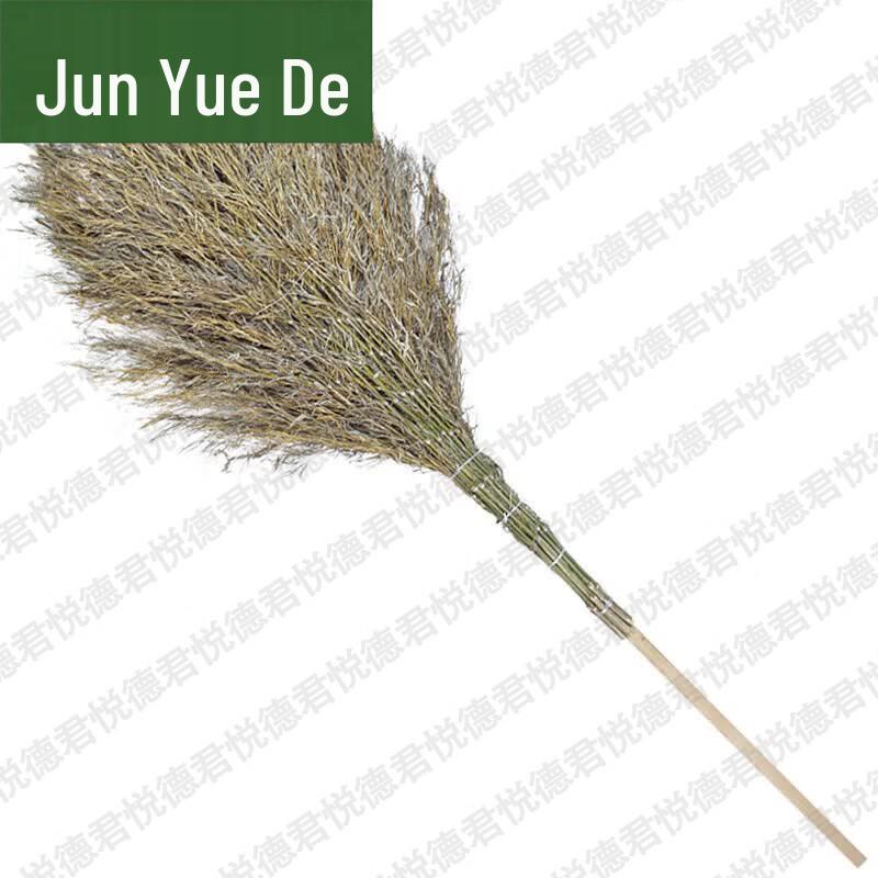 Wooden Handle Large Broom