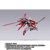 METAL BUILD Ale Striker main body is not The included.