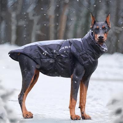 Wodoodporne ubrania dla dużych psów zimowy płaszcz dla psa z szelkami futrzany kołnierz ciepła odzież dla zwierząt kurtka dla dużego psa Labrador Bulldog Costume