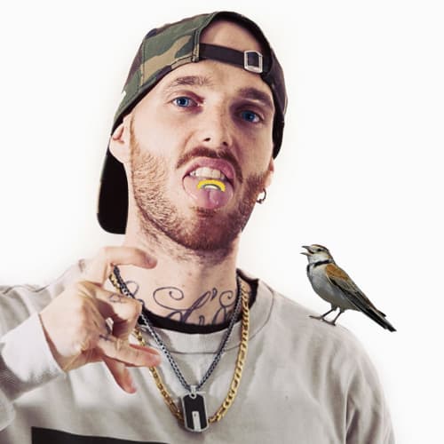 Mendoule Bird Call Whistles, Magical Bird Calling Tongue Whistles, Metal, 5-Piece Bird Call, Tongue Whistle Toy, Tweeting Noisemaker - Have Fun Creati