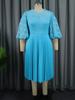 Plus Size Lace Lantern Sleeve Dress with Pleated Skirt - Christmas Gift
