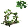 Rattan Reptile Vines Set Climbing Parts Easy To Install Reptile Habitat with Suction Cups Lizard Terrarium Decor Pet Supplies
