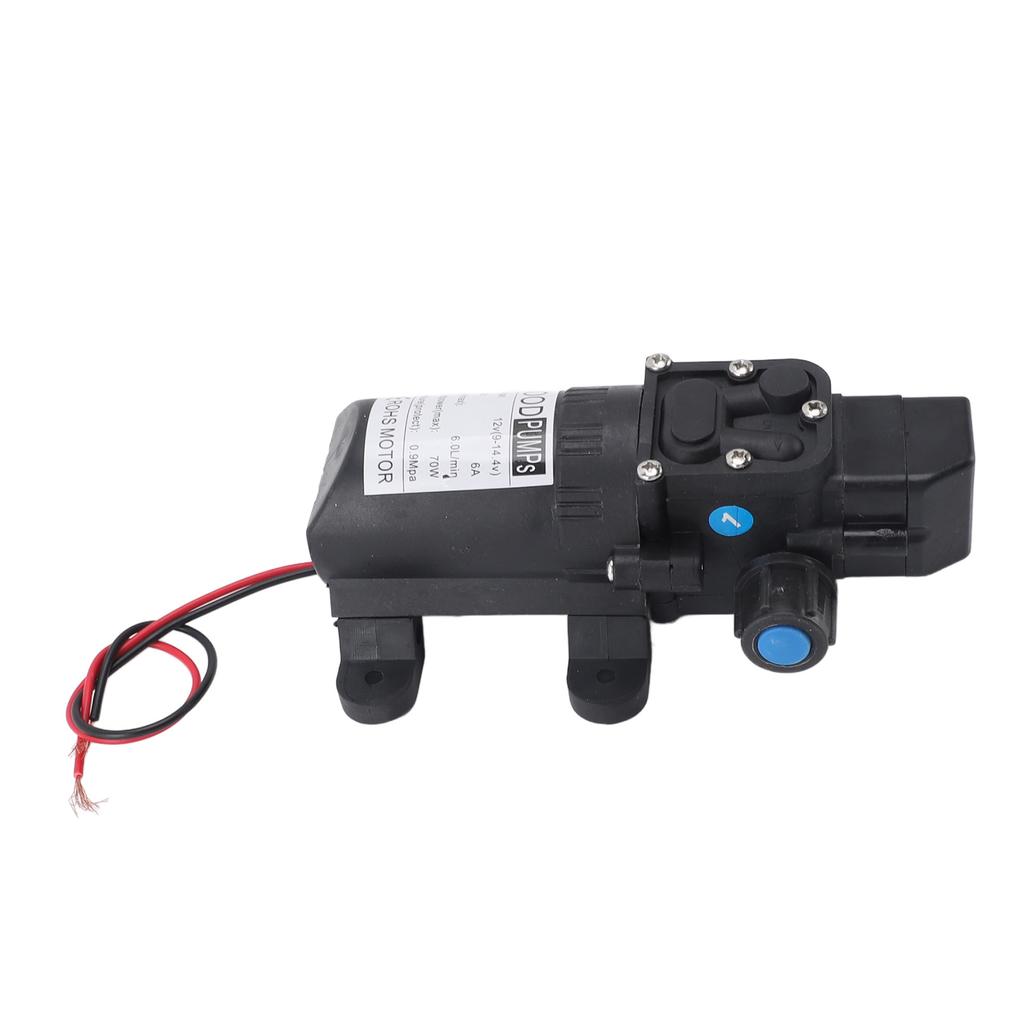 12V Membranpump Automatisk Avstängning Mini Smart Elektrisk Membranpump för Tryck Biltvätt