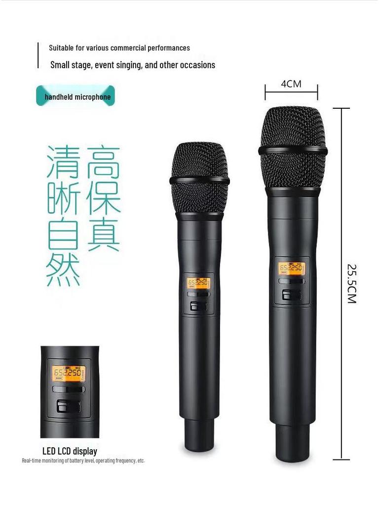 HuiDu HDS-5200 True Diversity Wireless Dual Professional Conference Microphone