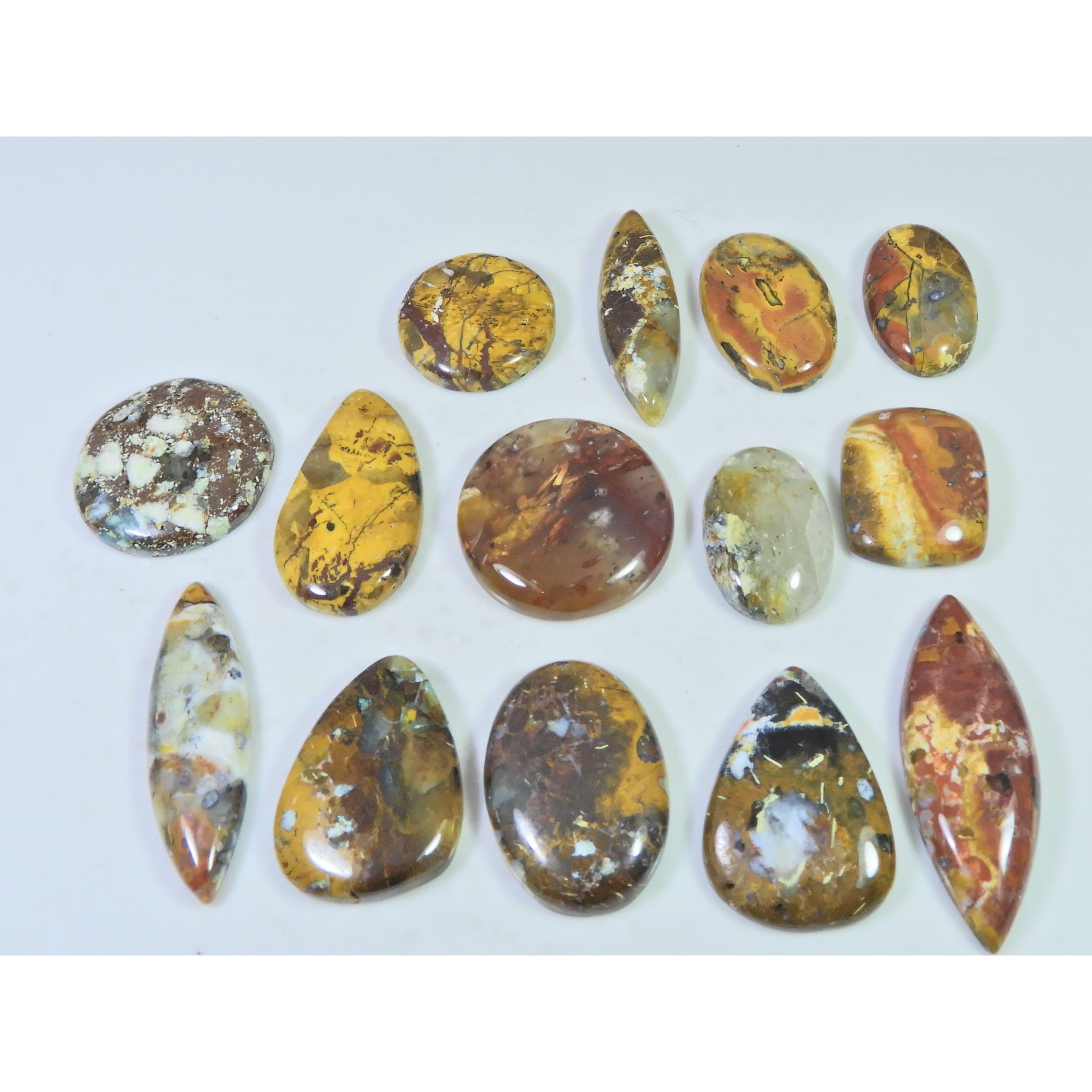 274Cts. Natural Forest Agate Mix Cabochon Loose Gemstone 14 Pcs Lot C-1948