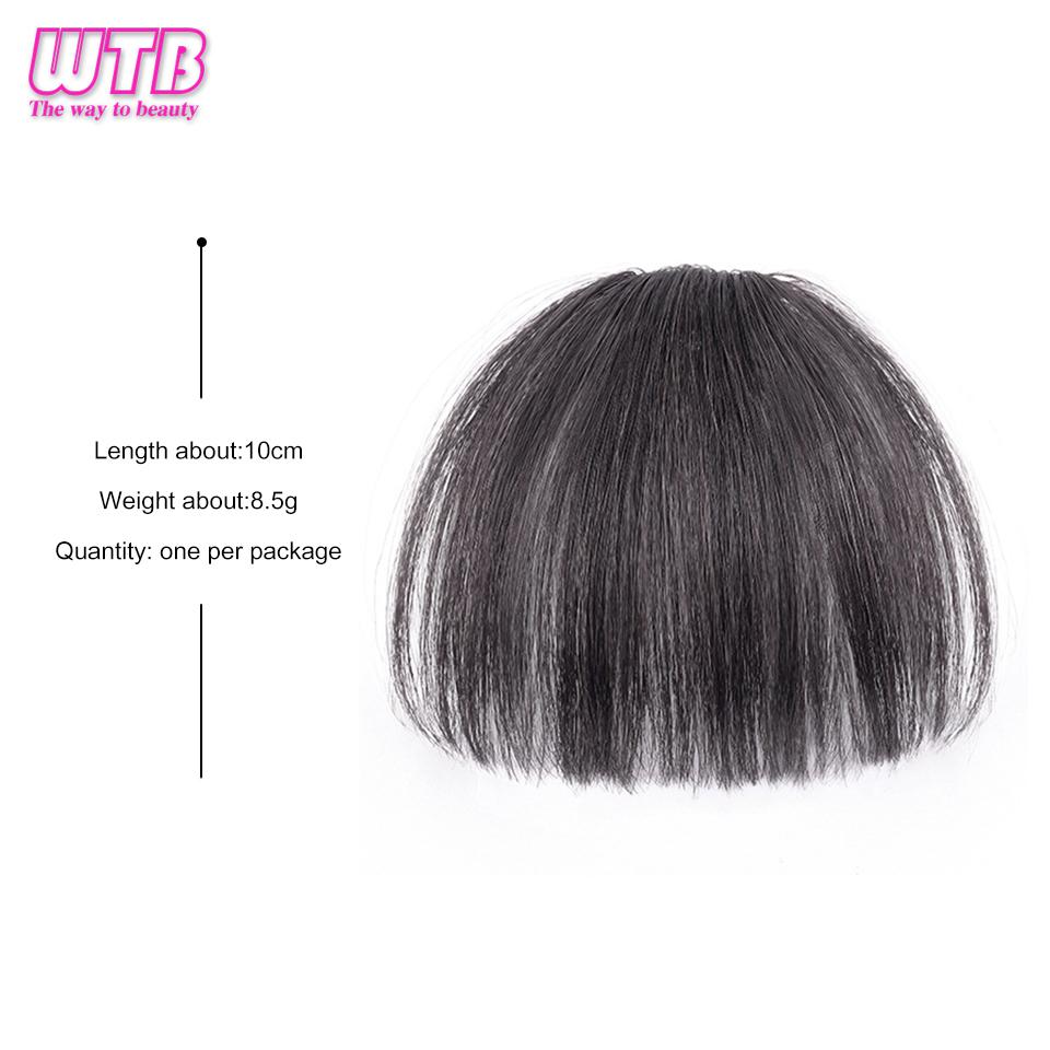 WTB Synthetischer Pony-Perückenteil, natürlicher realistischer gefälschter Pony für Damen, geeignet für den täglichen Gebrauch, Pony-Perücke