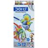 Doms 12 Shades Color Pencils | Hexagonal Shaped Body For Comfortable Grip | Bright & Playful Colors | Free Sharpner With