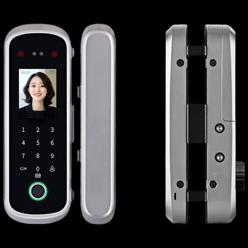 Realand ZD506 Smart Face & Palm Recognition Glass Door Lock