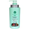 Fenghua Herbal Essence Shampoo & Conditioner Set