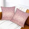 Rose Gold 18 X 18 Couch Pillow Covers Set of 2 Silver Abstract Glowing Double Sided Silky Velvet Throw Pillow Case Square Cushion Cover Decorative
