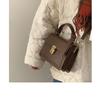 Versatile Ins Crossbody Bag Women's New Autumn and Winter Trendy Retro Handheld Square Bag Niche Texture Shoulder Bag
