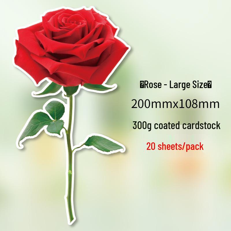 Red Rose Valentine s Day Greeting Card - Thank You Note Insert Rose flower card