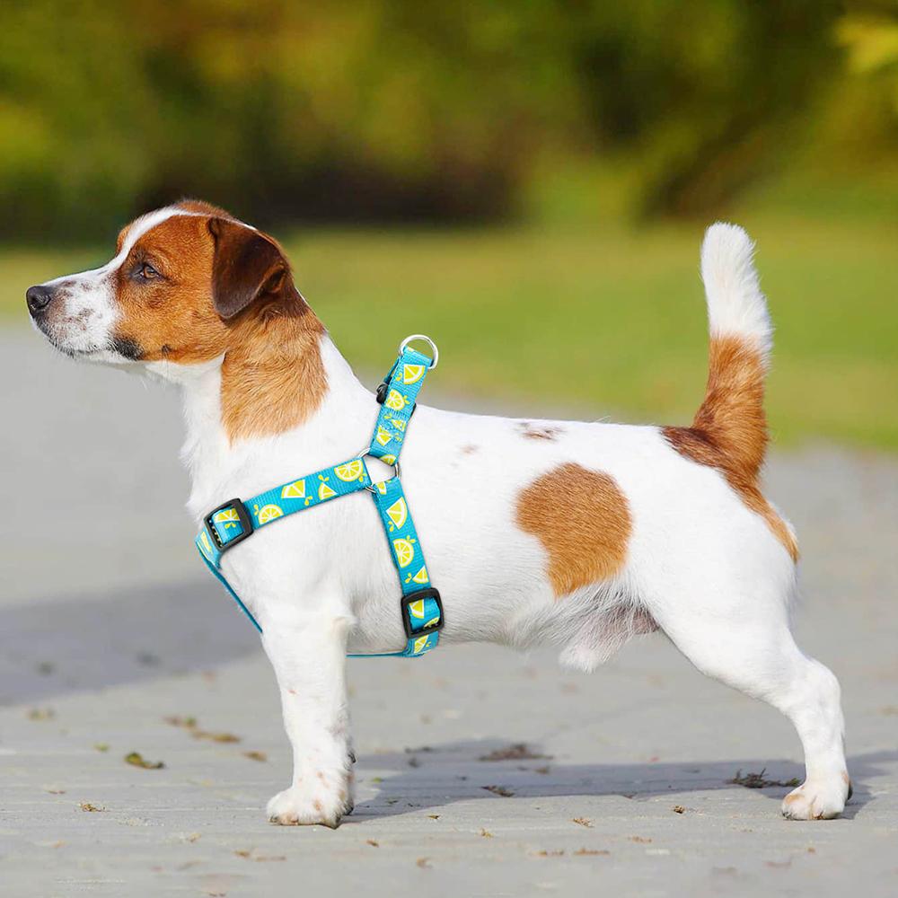 All For Paws Dog Harness For Small Large Dogs Blue Lemon Printed Nylon Adjustable Vest Outdoor Walking Running Dog