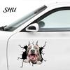 Car Body Sticker Funny Stickers Realistic Exquisite Pattern Simulation Pet Crack Design 3D Trim Effect Decorate Eye-catching Cute Window for