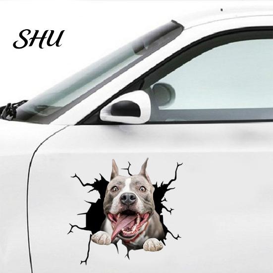 Car Body Sticker Funny Stickers Realistic Exquisite Pattern Simulation Pet Crack Design 3D Trim Effect Decorate Eye-catching Cute Window for